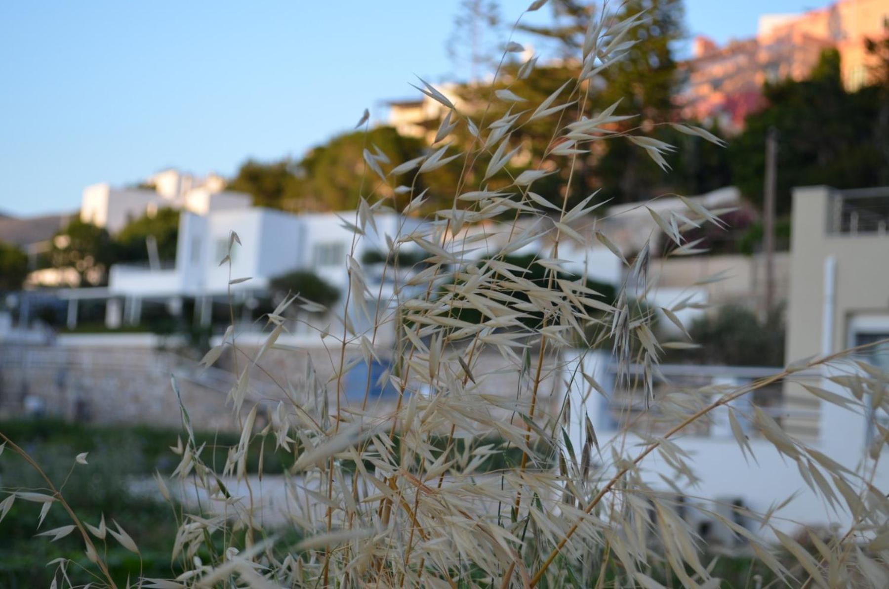 White Lotus Seaside Apartment Kini Exteriér fotografie
